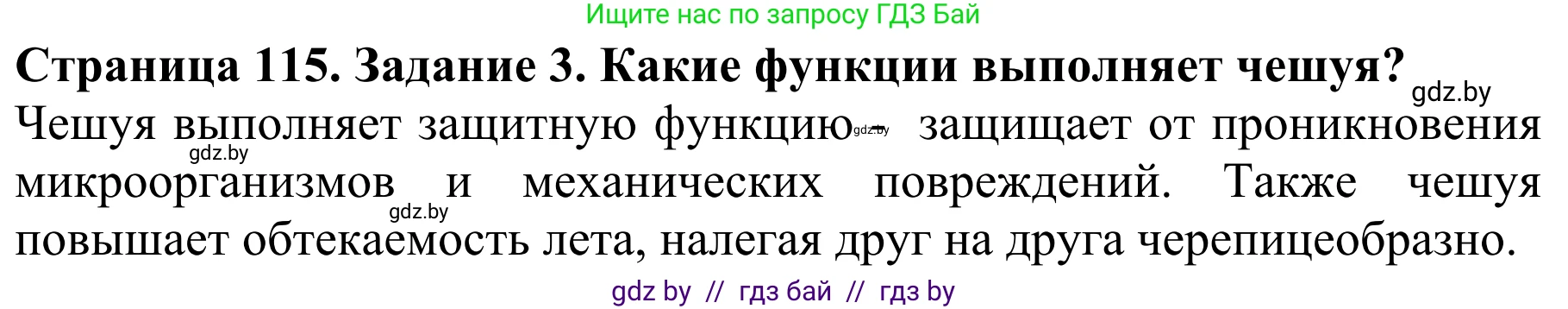 Биология, 8 класс Учебник, авторы: Бедарик Ирина Геннадьевна, Бедарик Александр Евгеньевич, Иванов Владимир Николаевич, издательство Адукацыя i выхаванне, Минск, 2023, зелёного цвета, страница 115, номер 3, Решение