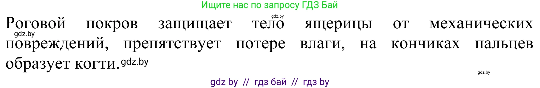 Биология, 8 класс Учебник, авторы: Бедарик Ирина Геннадьевна, Бедарик Александр Евгеньевич, Иванов Владимир Николаевич, издательство Адукацыя i выхаванне, Минск, 2023, зелёного цвета, страница 148, номер 2, Решение (продолжение 2)