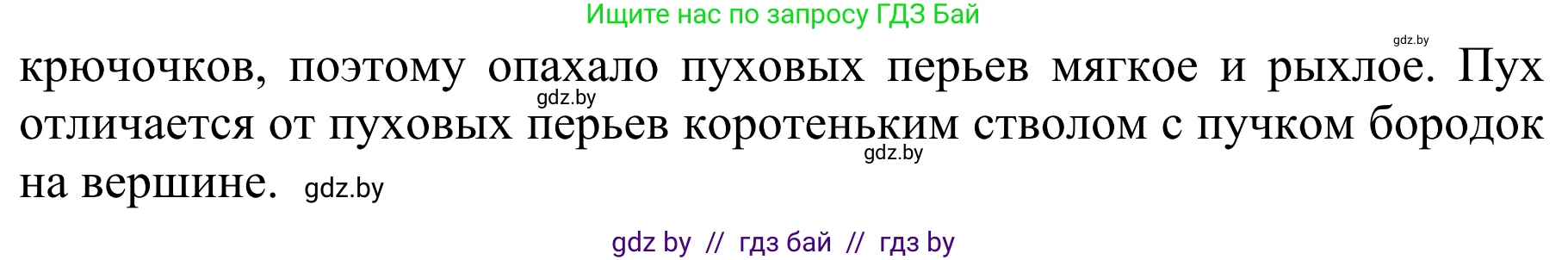 Биология, 8 класс Учебник, авторы: Бедарик Ирина Геннадьевна, Бедарик Александр Евгеньевич, Иванов Владимир Николаевич, издательство Адукацыя i выхаванне, Минск, 2023, зелёного цвета, страница 164, номер 3, Решение (продолжение 2)