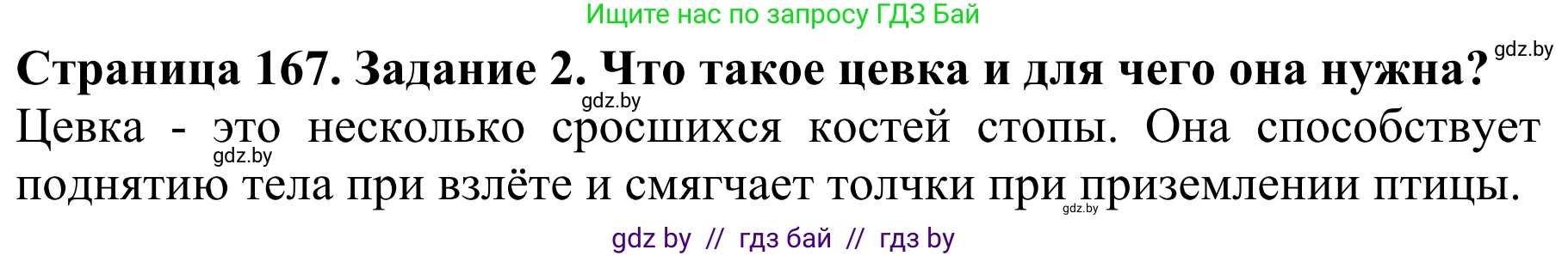 Биология, 8 класс Учебник, авторы: Бедарик Ирина Геннадьевна, Бедарик Александр Евгеньевич, Иванов Владимир Николаевич, издательство Адукацыя i выхаванне, Минск, 2023, зелёного цвета, страница 167, номер 2, Решение