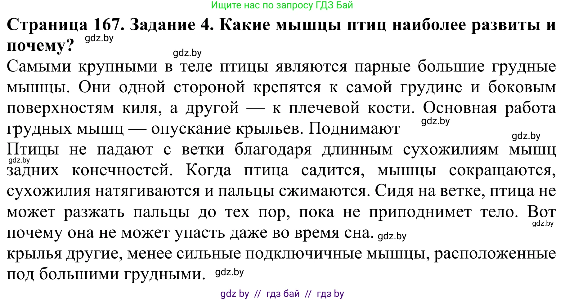 Биология, 8 класс Учебник, авторы: Бедарик Ирина Геннадьевна, Бедарик Александр Евгеньевич, Иванов Владимир Николаевич, издательство Адукацыя i выхаванне, Минск, 2023, зелёного цвета, страница 167, номер 4, Решение
