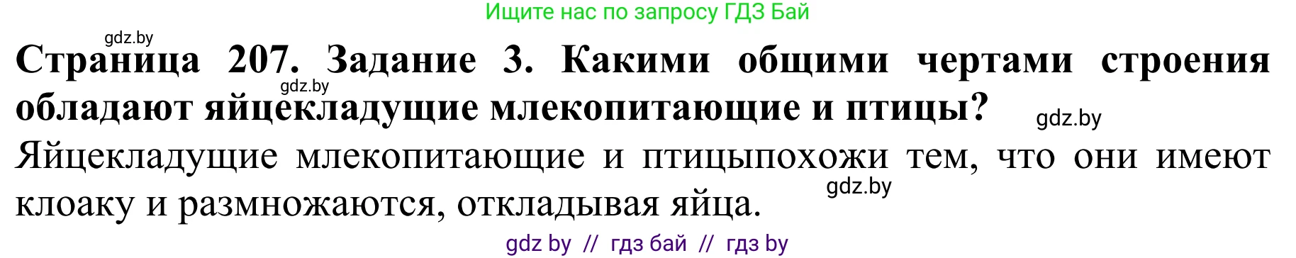 Биология, 8 класс Учебник, авторы: Бедарик Ирина Геннадьевна, Бедарик Александр Евгеньевич, Иванов Владимир Николаевич, издательство Адукацыя i выхаванне, Минск, 2023, зелёного цвета, страница 207, номер 3, Решение