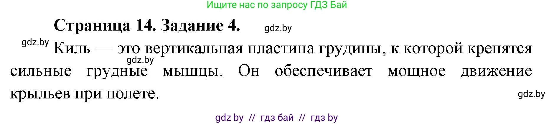 Биология, 8 класс Сборник контрольных и самостоятельных работ, авторы: Дубков Сергей Григорьевич, Городович Наталья Ивановна, Сеген Елена Адамовна, издательство Аверсэв, Минск, 2025, страница 14, номер 4, Решение