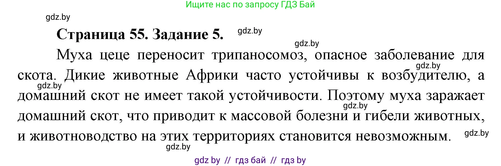 Биология, 8 класс Сборник контрольных и самостоятельных работ, авторы: Дубков Сергей Григорьевич, Городович Наталья Ивановна, Сеген Елена Адамовна, издательство Аверсэв, Минск, 2025, страница 55, номер 5, Решение