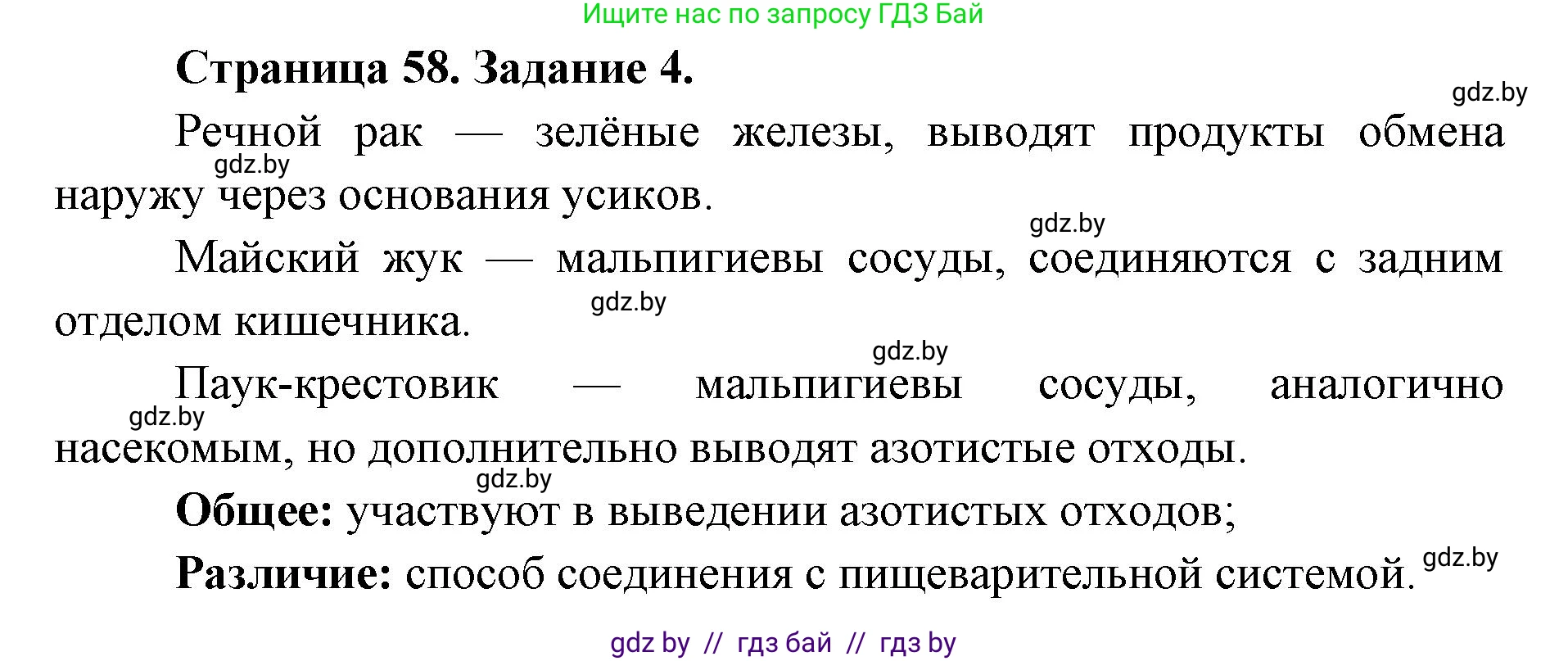Биология, 8 класс Сборник контрольных и самостоятельных работ, авторы: Дубков Сергей Григорьевич, Городович Наталья Ивановна, Сеген Елена Адамовна, издательство Аверсэв, Минск, 2025, страница 58, номер 4, Решение