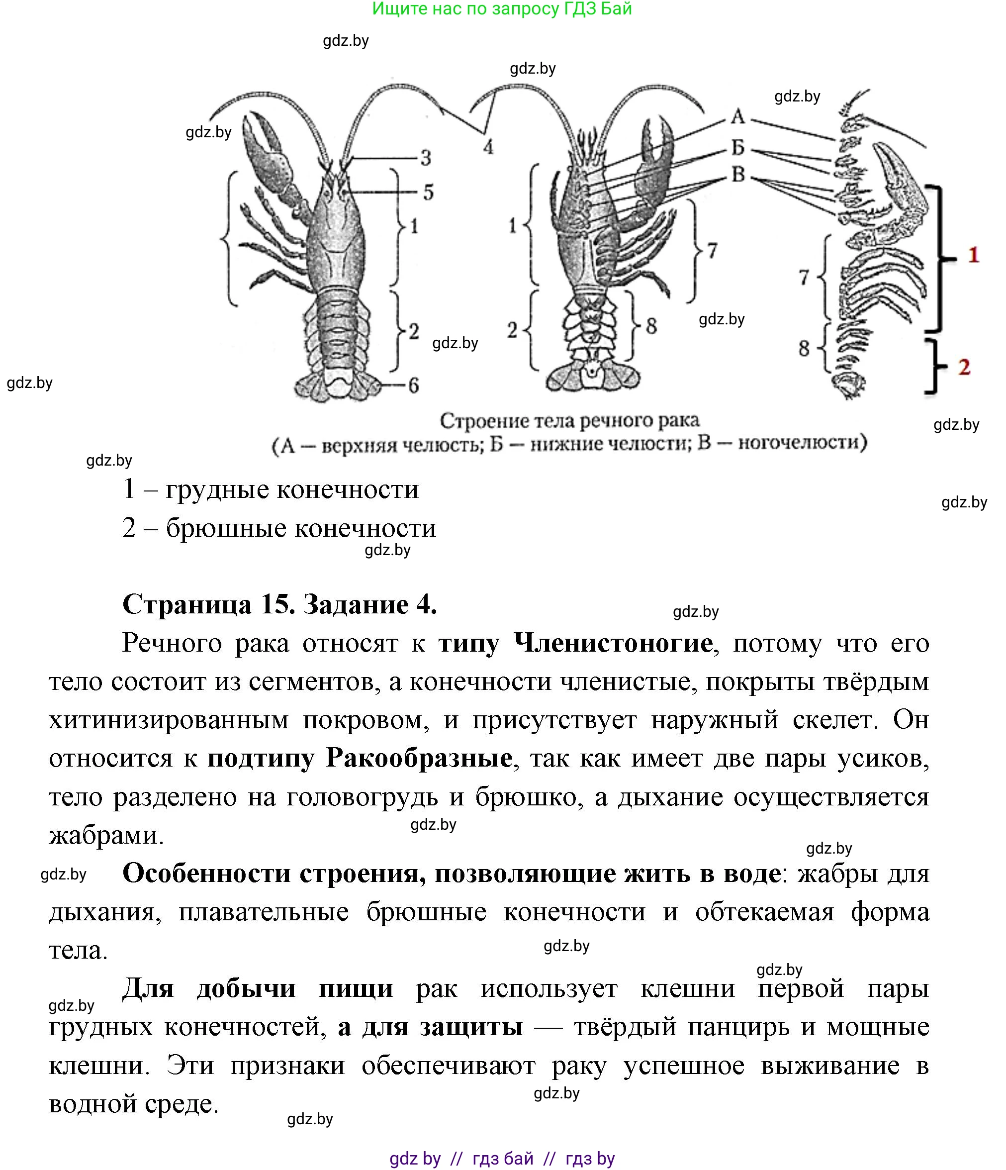 Биология, 8 класс Тетрадь для лабораторных и практических работ, автор: Лисов Николай Дмитриевич, издательство Аверсэв, Минск, 2025, оранжевого цвета, страница 12, Решение 2025 (продолжение 2)
