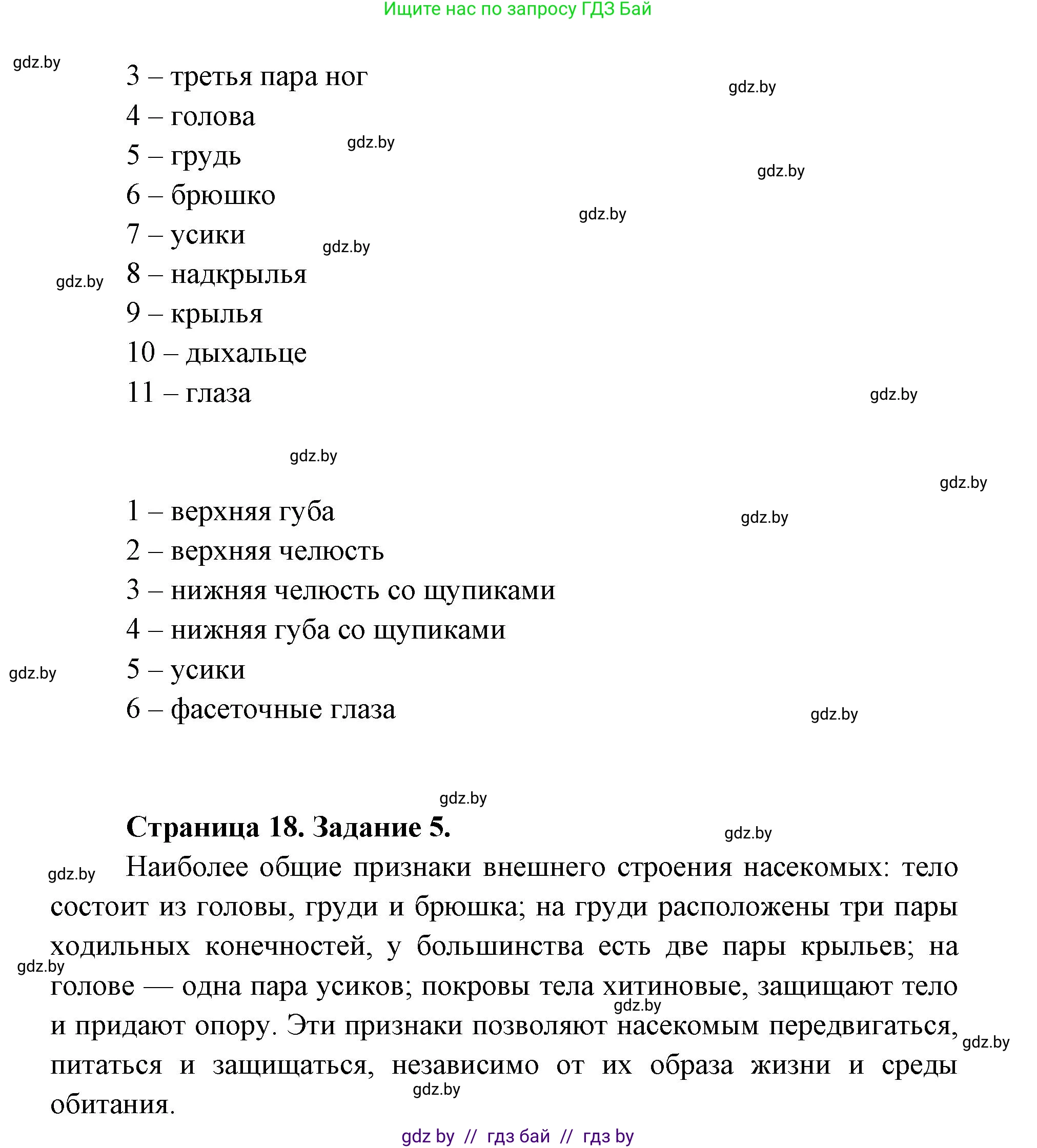 Биология, 8 класс Тетрадь для лабораторных и практических работ, автор: Лисов Николай Дмитриевич, издательство Аверсэв, Минск, 2025, оранжевого цвета, страница 16, Решение 2025 (продолжение 2)