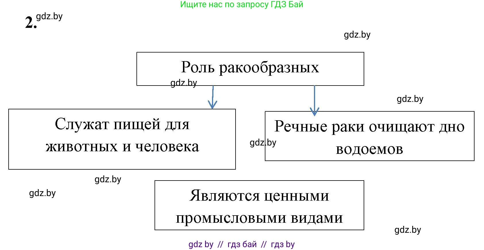 Биология, 8 класс рабочая тетрадь, автор: Лисов Николай Дмитриевич, издательство Аверсэв, Минск, 2018, зелёного цвета, страница 38, номер 2, Решение