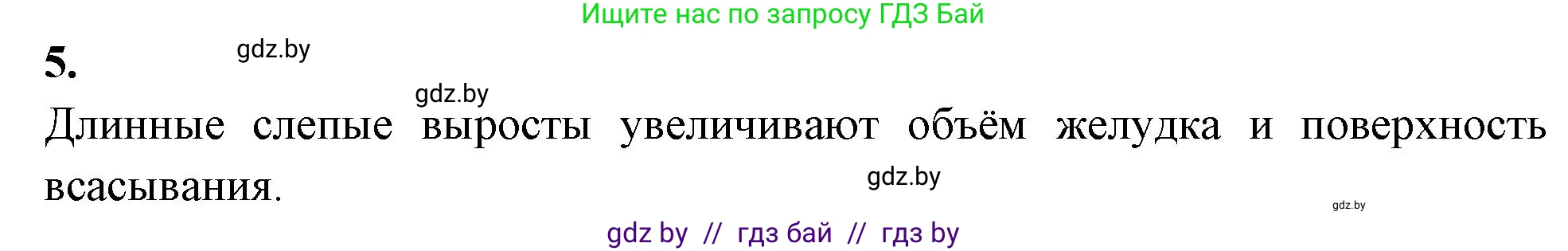 Биология, 8 класс рабочая тетрадь, автор: Лисов Николай Дмитриевич, издательство Аверсэв, Минск, 2018, зелёного цвета, страница 39, номер 5, Решение
