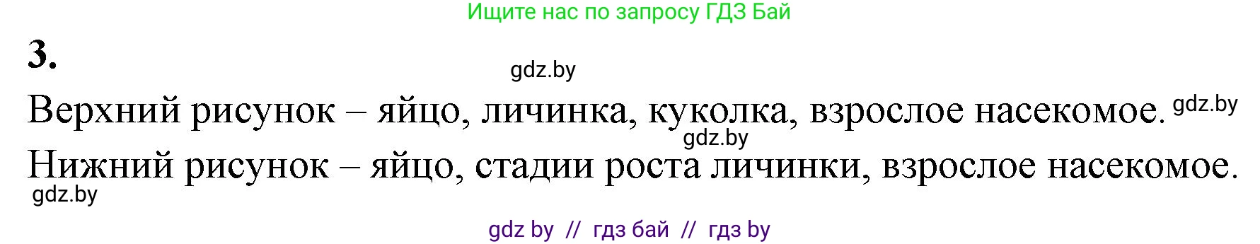 Биология, 8 класс рабочая тетрадь, автор: Лисов Николай Дмитриевич, издательство Аверсэв, Минск, 2018, зелёного цвета, страница 47, номер 3, Решение
