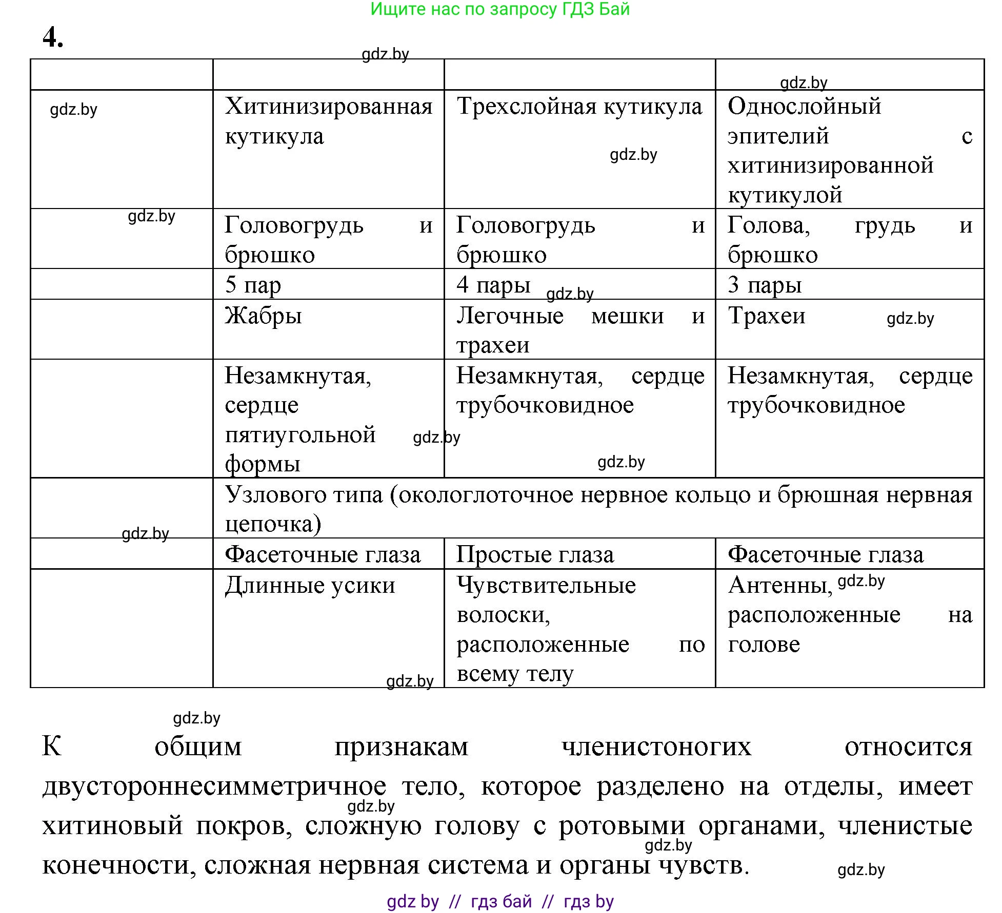 Биология, 8 класс рабочая тетрадь, автор: Лисов Николай Дмитриевич, издательство Аверсэв, Минск, 2018, зелёного цвета, страница 58, номер 4, Решение