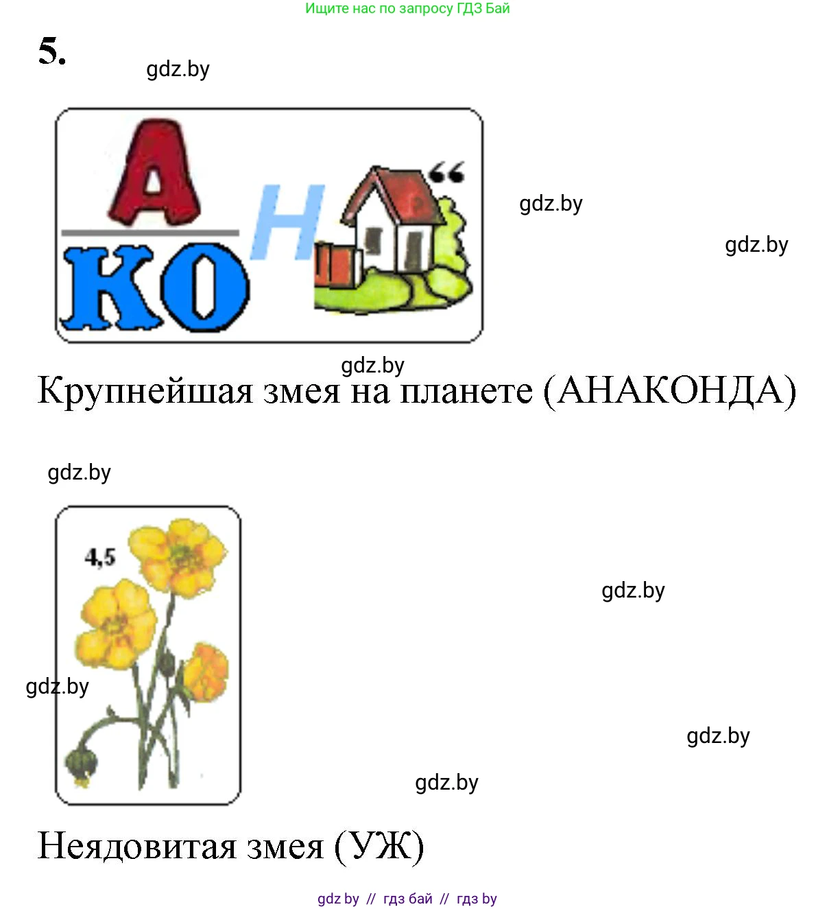 Биология, 8 класс рабочая тетрадь, автор: Лисов Николай Дмитриевич, издательство Аверсэв, Минск, 2018, зелёного цвета, страница 80, номер 5, Решение