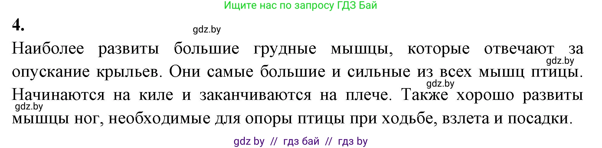 Биология, 8 класс рабочая тетрадь, автор: Лисов Николай Дмитриевич, издательство Аверсэв, Минск, 2018, зелёного цвета, страница 82, номер 4, Решение