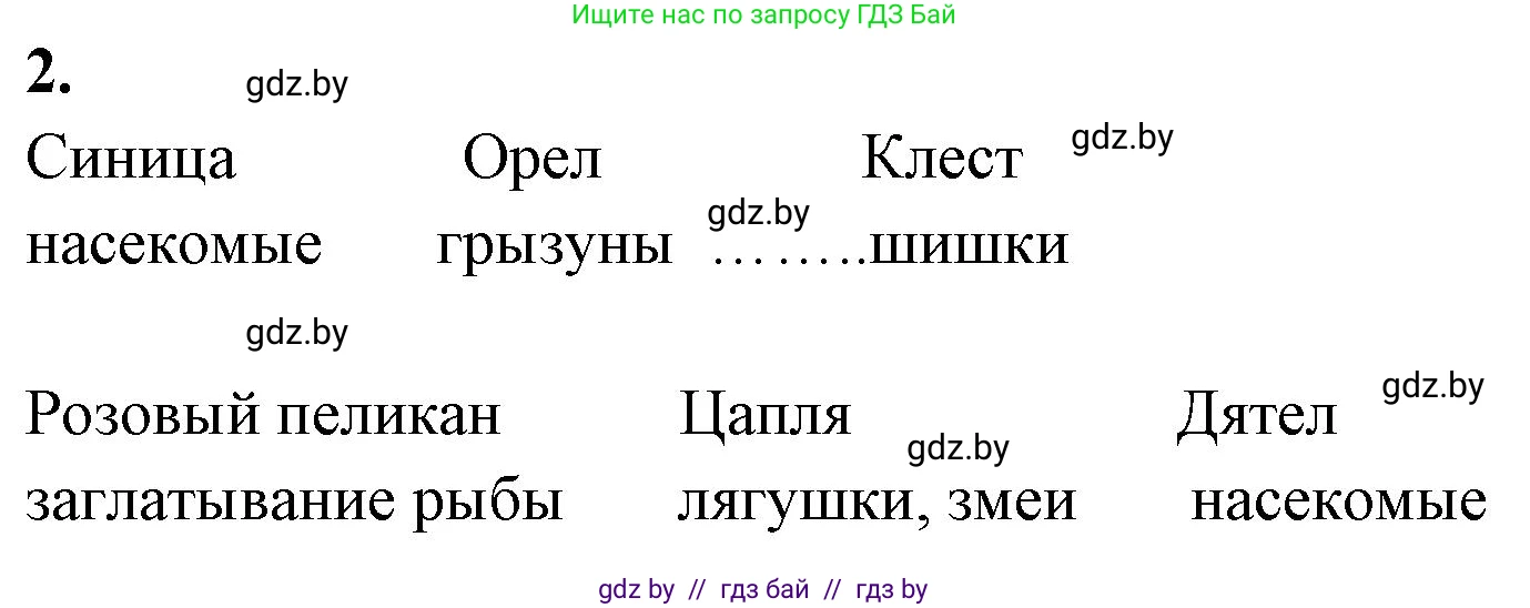 Биология, 8 класс рабочая тетрадь, автор: Лисов Николай Дмитриевич, издательство Аверсэв, Минск, 2018, зелёного цвета, страница 88, номер 2, Решение