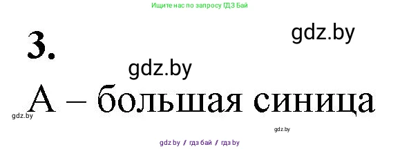 Биология, 8 класс рабочая тетрадь, автор: Лисов Николай Дмитриевич, издательство Аверсэв, Минск, 2018, зелёного цвета, страница 94, номер 3, Решение