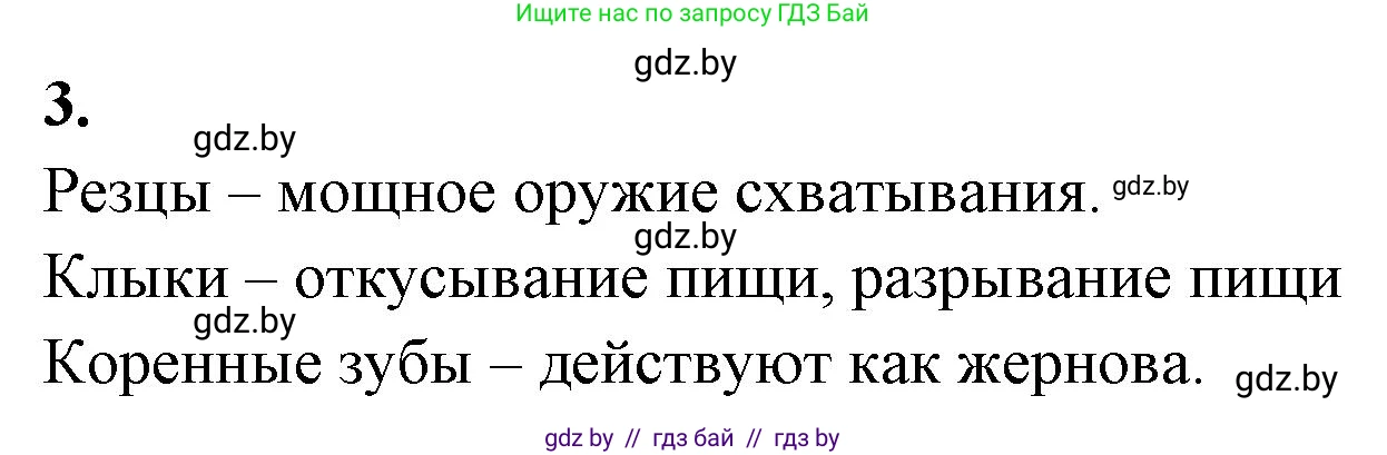Биология, 8 класс рабочая тетрадь, автор: Лисов Николай Дмитриевич, издательство Аверсэв, Минск, 2018, зелёного цвета, страница 104, номер 3, Решение