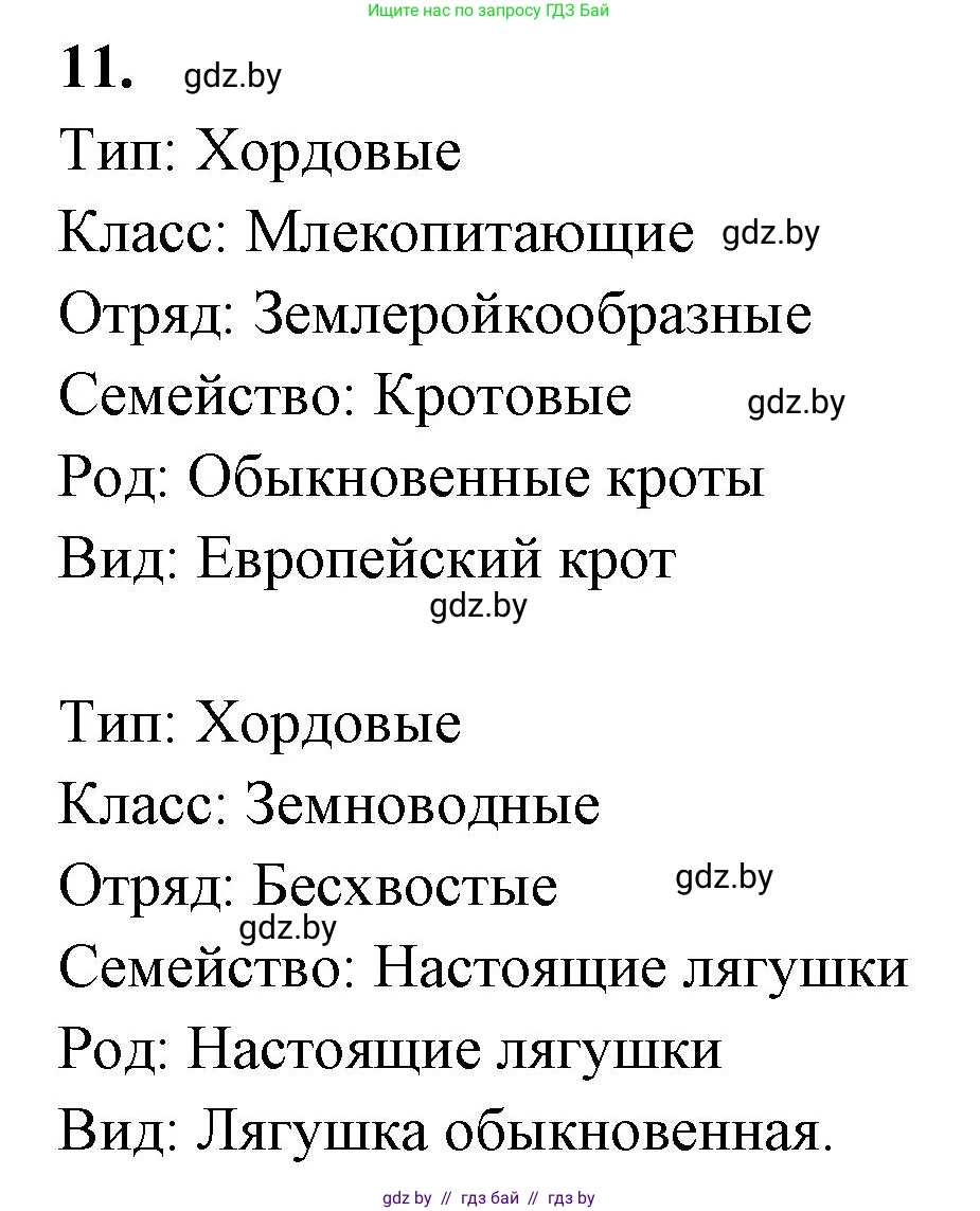 Биология, 8 класс рабочая тетрадь, автор: Лисов Николай Дмитриевич, издательство Аверсэв, Минск, 2018, зелёного цвета, страница 125, номер 11, Решение
