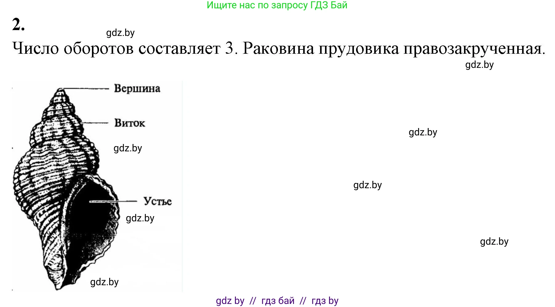 Биология, 8 класс рабочая тетрадь, автор: Лисов Николай Дмитриевич, издательство Аверсэв, Минск, 2018, зелёного цвета, страница 23, номер 2, Решение