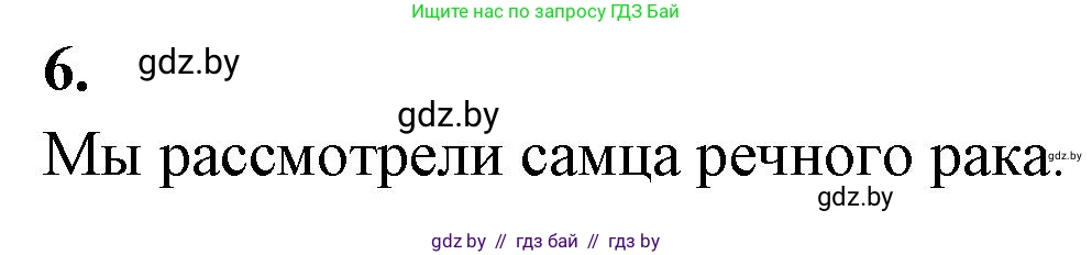 Биология, 8 класс рабочая тетрадь, автор: Лисов Николай Дмитриевич, издательство Аверсэв, Минск, 2018, зелёного цвета, страница 36, номер 6, Решение
