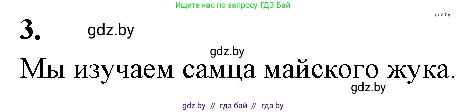 Биология, 8 класс рабочая тетрадь, автор: Лисов Николай Дмитриевич, издательство Аверсэв, Минск, 2018, зелёного цвета, страница 43, номер 3, Решение