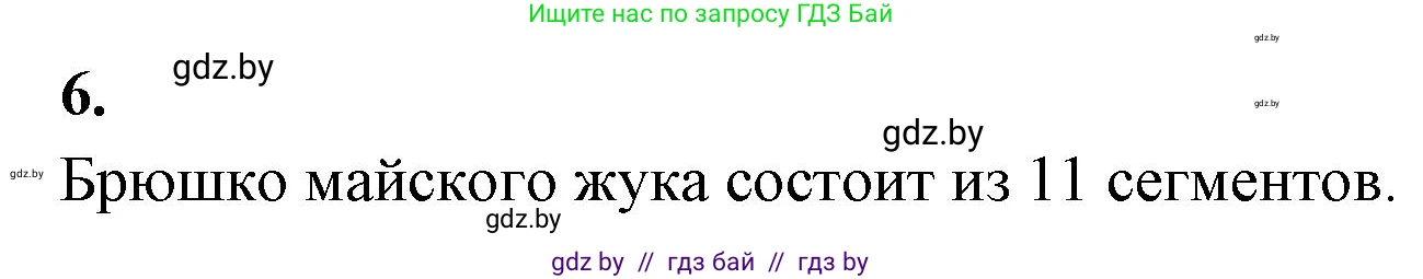 Биология, 8 класс рабочая тетрадь, автор: Лисов Николай Дмитриевич, издательство Аверсэв, Минск, 2018, зелёного цвета, страница 45, номер 6, Решение