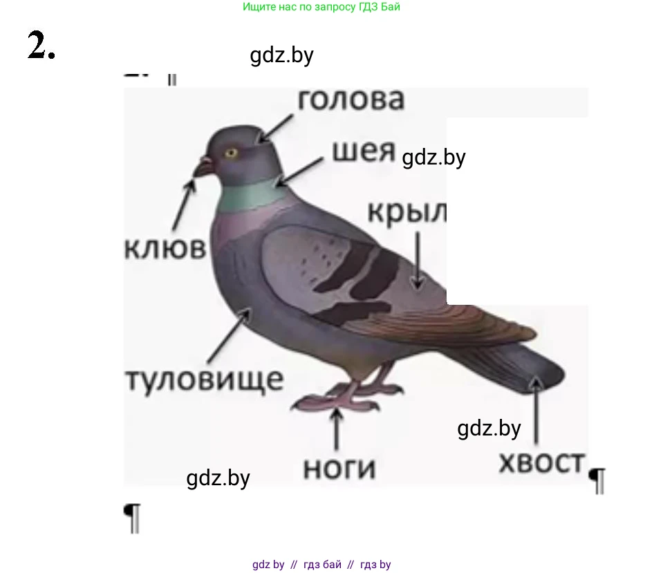 Биология, 8 класс рабочая тетрадь, автор: Лисов Николай Дмитриевич, издательство Аверсэв, Минск, 2018, зелёного цвета, страница 83, номер 2, Решение