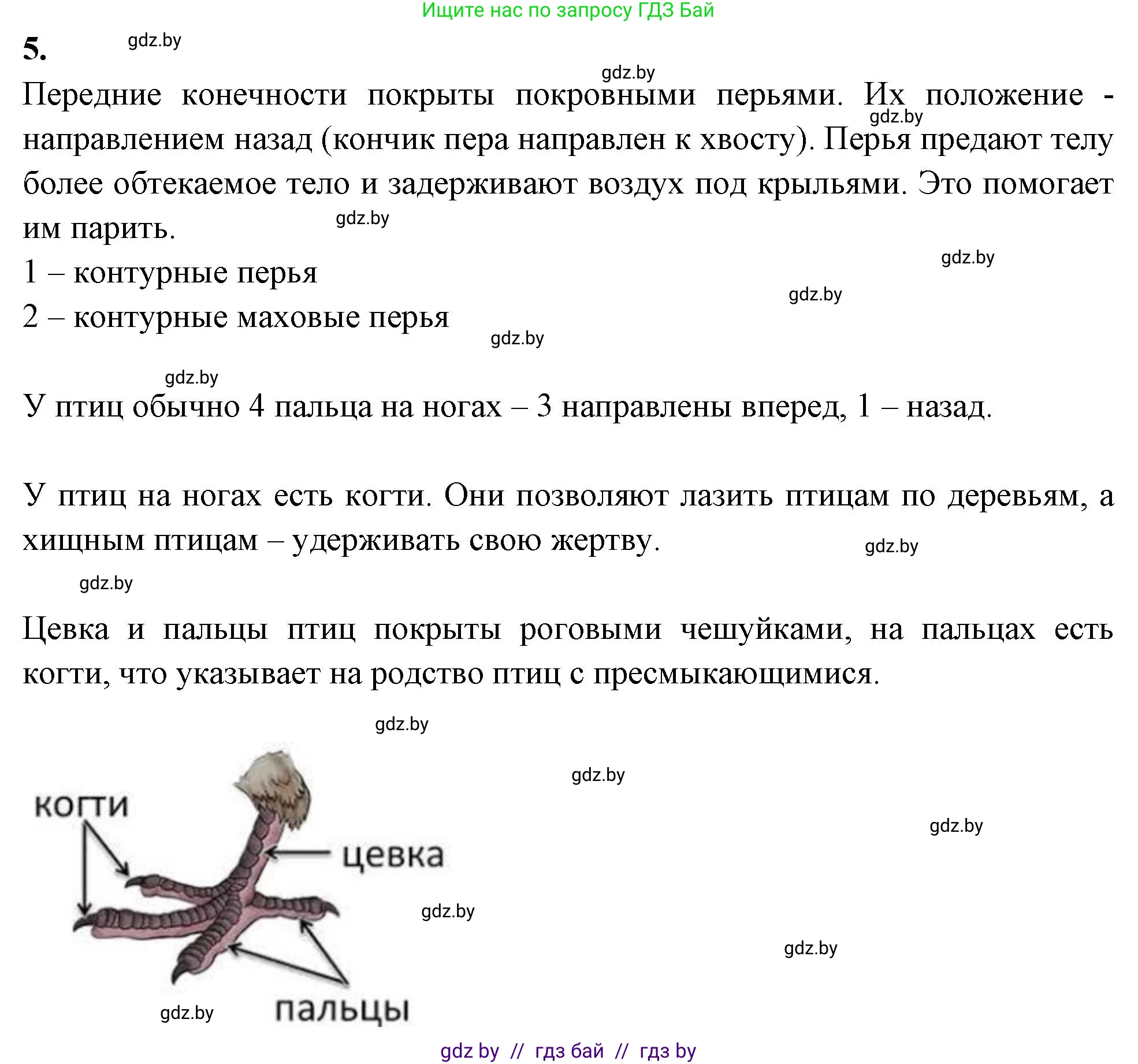 Биология, 8 класс рабочая тетрадь, автор: Лисов Николай Дмитриевич, издательство Аверсэв, Минск, 2018, зелёного цвета, страница 84, номер 5, Решение