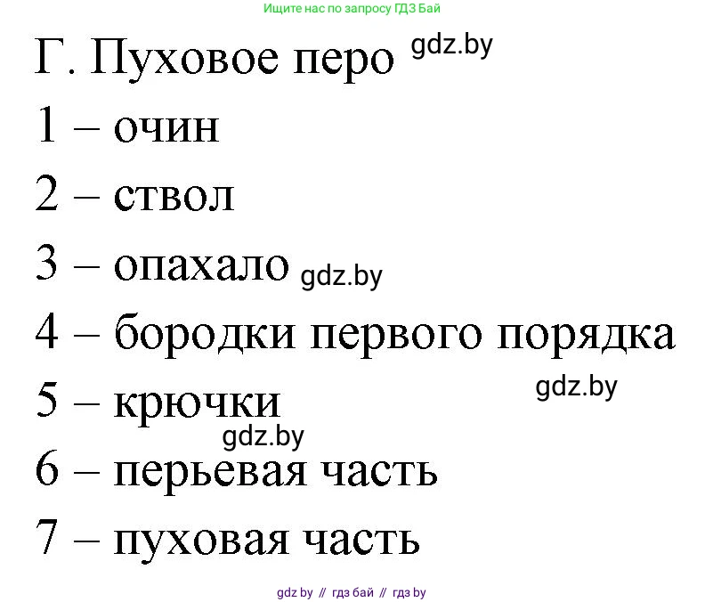 Биология, 8 класс рабочая тетрадь, автор: Лисов Николай Дмитриевич, издательство Аверсэв, Минск, 2018, зелёного цвета, страница 85, номер 7, Решение (продолжение 2)