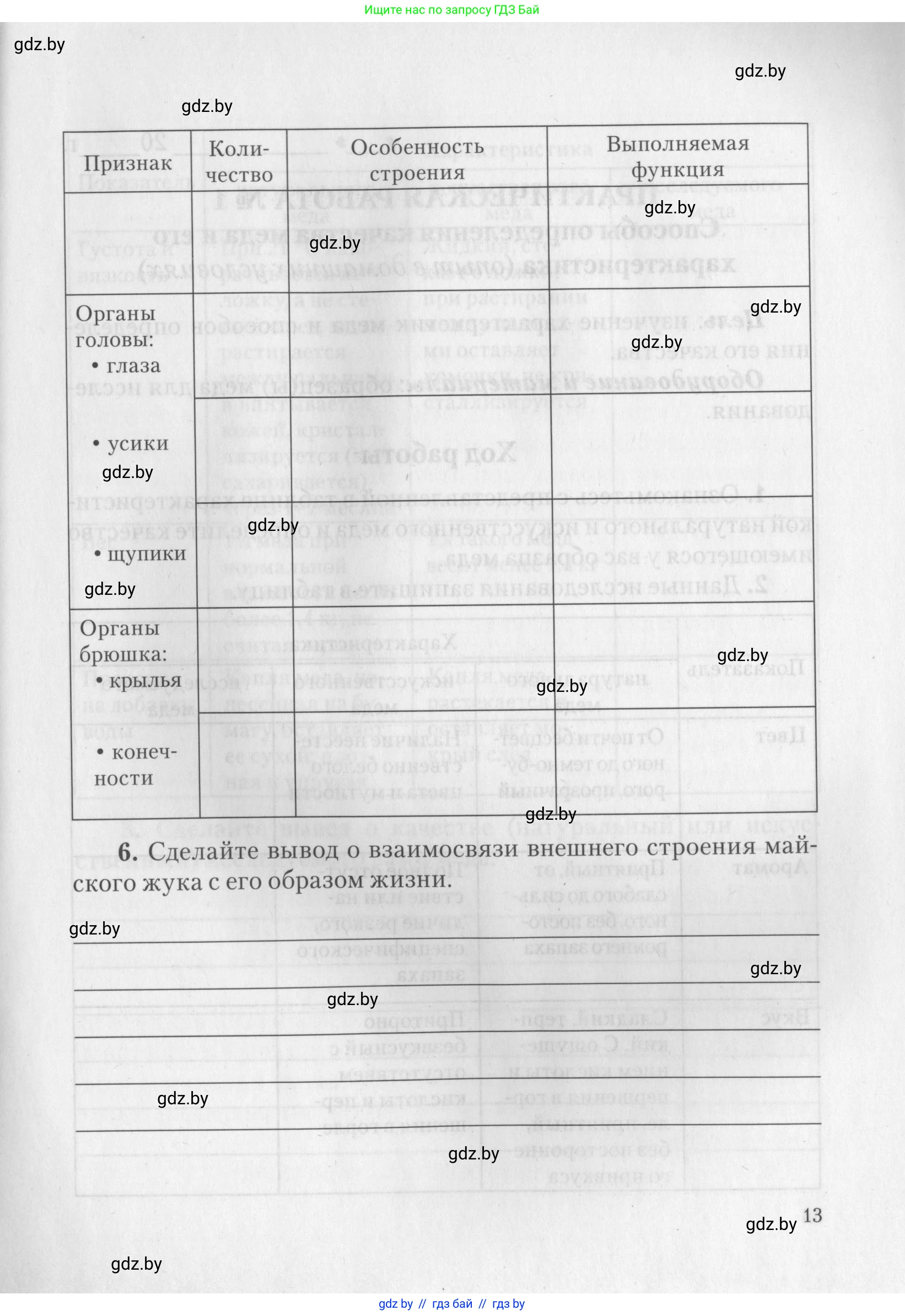 Биология, 8 класс тетрадь для экскусрий, лабораторных и практических работ, автор: Рогожников Олег Николаевич, издательство Сэр-Вит, Минск, 2021, сиреневого цвета, страница 13