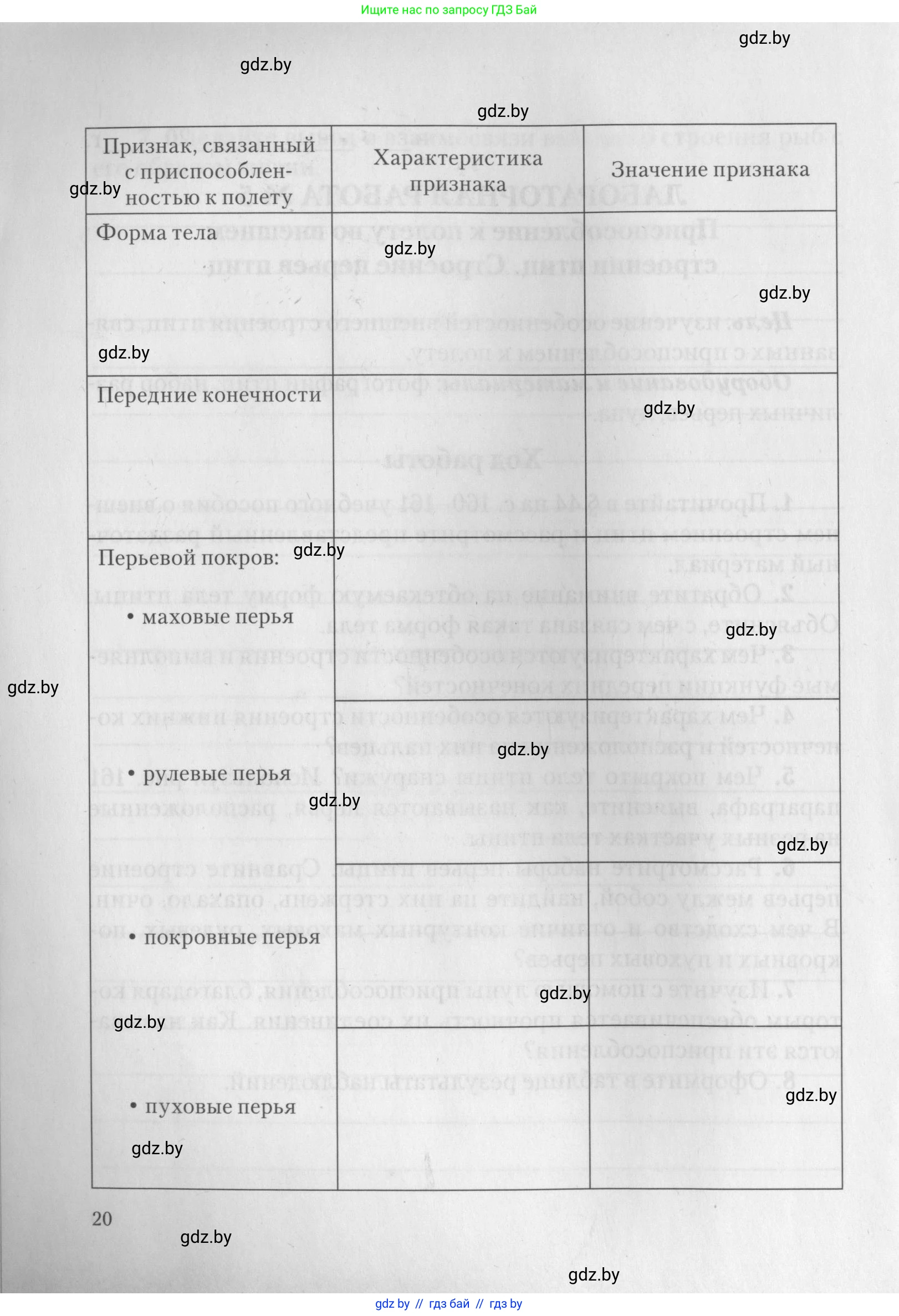Биология, 8 класс тетрадь для экскусрий, лабораторных и практических работ, автор: Рогожников Олег Николаевич, издательство Сэр-Вит, Минск, 2021, сиреневого цвета, страница 20
