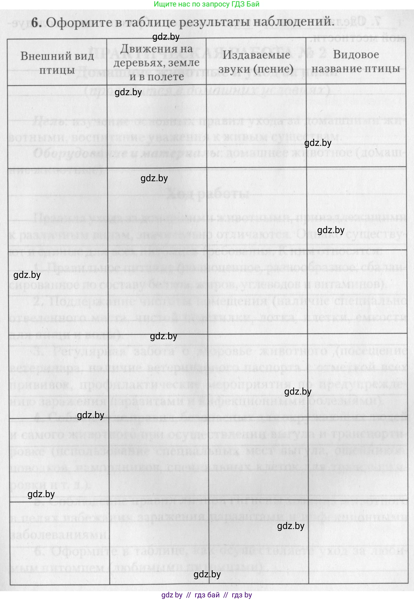 Биология, 8 класс тетрадь для экскусрий, лабораторных и практических работ, автор: Рогожников Олег Николаевич, издательство Сэр-Вит, Минск, 2021, сиреневого цвета, страница 23, номер 6, Условие
