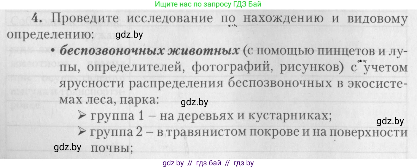 Биология, 8 класс тетрадь для экскусрий, лабораторных и практических работ, автор: Рогожников Олег Николаевич, издательство Сэр-Вит, Минск, 2021, сиреневого цвета, страница 28, номер 4, Условие