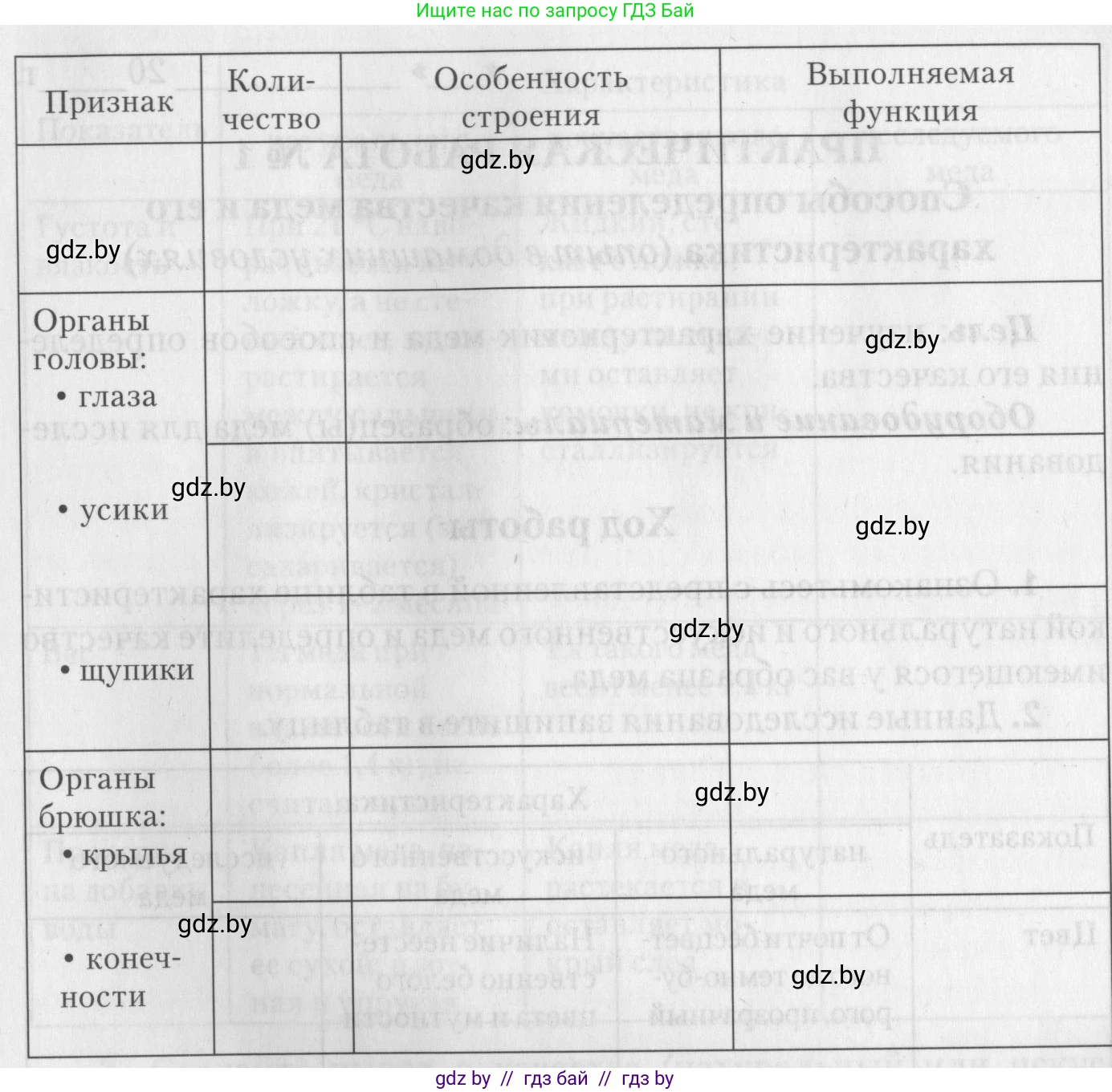 Биология, 8 класс тетрадь для экскусрий, лабораторных и практических работ, автор: Рогожников Олег Николаевич, издательство Сэр-Вит, Минск, 2021, сиреневого цвета, страница 12, номер 5, Условие (продолжение 2)