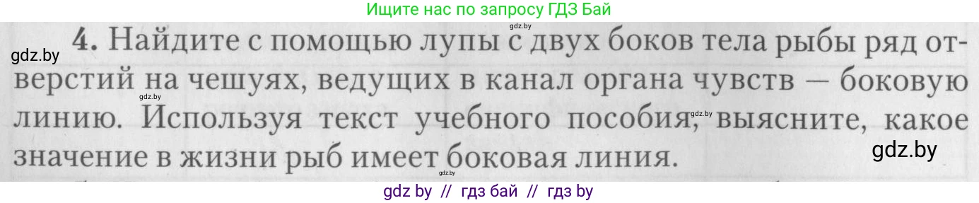Биология, 8 класс тетрадь для экскусрий, лабораторных и практических работ, автор: Рогожников Олег Николаевич, издательство Сэр-Вит, Минск, 2021, сиреневого цвета, страница 16, номер 4, Условие
