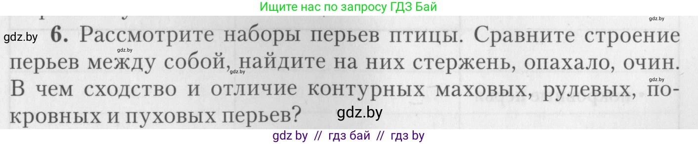 Биология, 8 класс тетрадь для экскусрий, лабораторных и практических работ, автор: Рогожников Олег Николаевич, издательство Сэр-Вит, Минск, 2021, сиреневого цвета, страница 19, номер 6, Условие