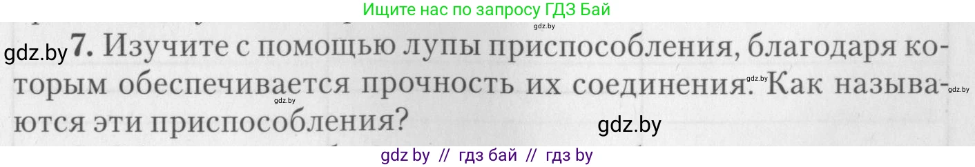 Биология, 8 класс тетрадь для экскусрий, лабораторных и практических работ, автор: Рогожников Олег Николаевич, издательство Сэр-Вит, Минск, 2021, сиреневого цвета, страница 19, номер 7, Условие