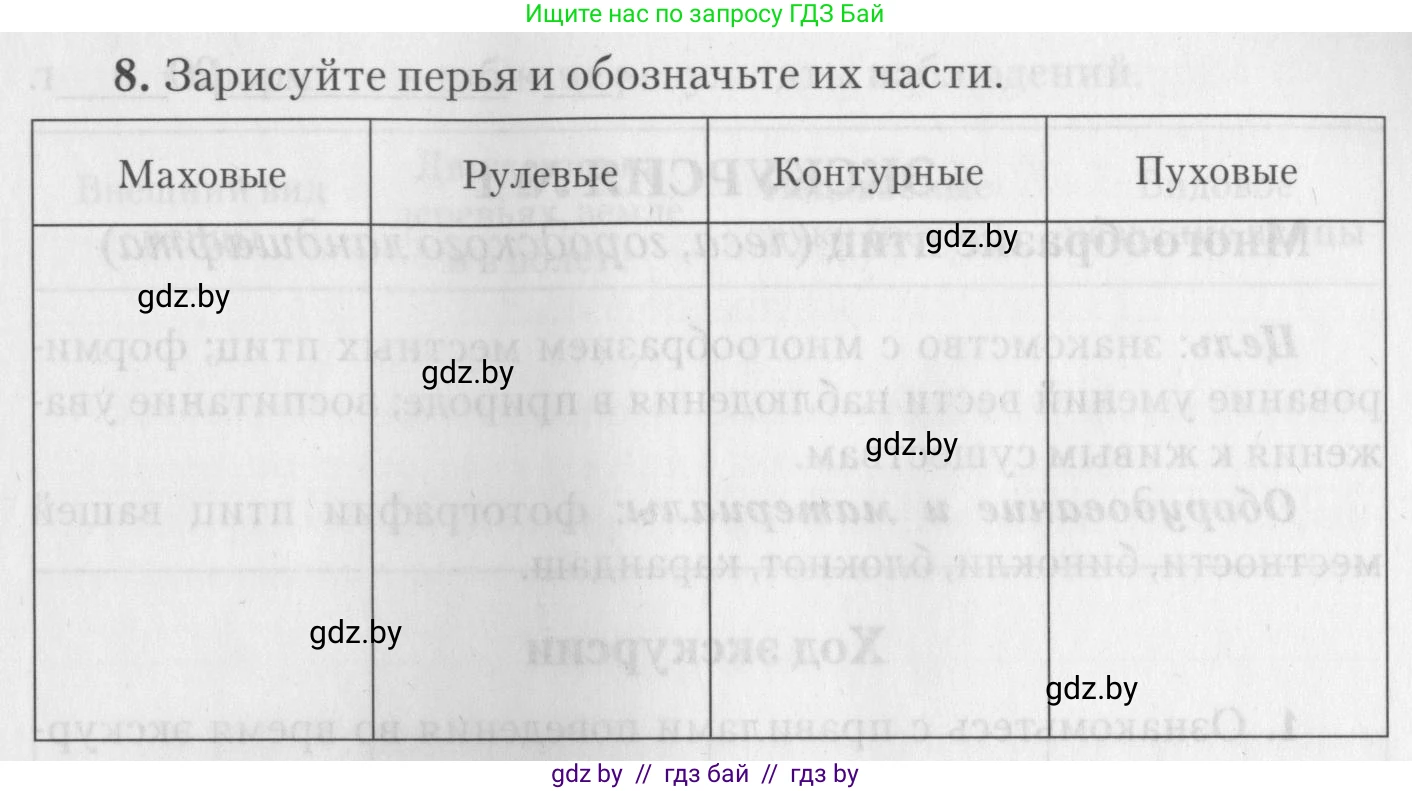 Биология, 8 класс тетрадь для экскусрий, лабораторных и практических работ, автор: Рогожников Олег Николаевич, издательство Сэр-Вит, Минск, 2021, сиреневого цвета, страница 19, номер 8, Условие (продолжение 3)