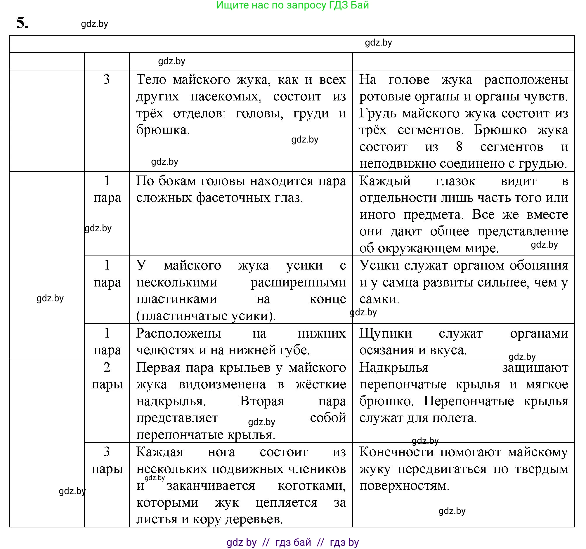 Биология, 8 класс тетрадь для экскусрий, лабораторных и практических работ, автор: Рогожников Олег Николаевич, издательство Сэр-Вит, Минск, 2021, сиреневого цвета, страница 12, номер 5, Решение