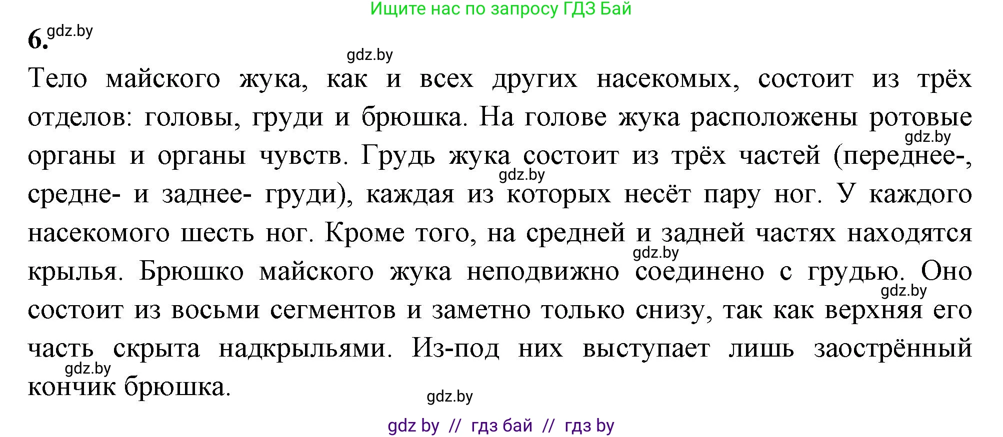 Биология, 8 класс тетрадь для экскусрий, лабораторных и практических работ, автор: Рогожников Олег Николаевич, издательство Сэр-Вит, Минск, 2021, сиреневого цвета, страница 13, номер 6, Решение