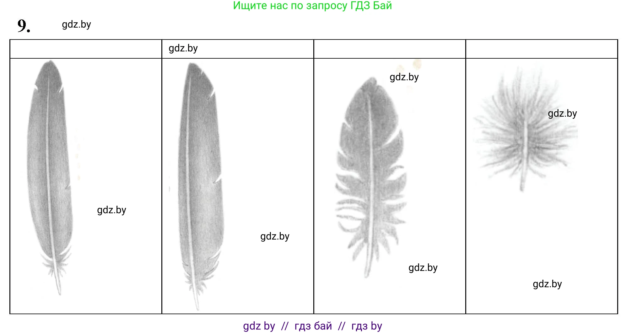 Биология, 8 класс тетрадь для экскусрий, лабораторных и практических работ, автор: Рогожников Олег Николаевич, издательство Сэр-Вит, Минск, 2021, сиреневого цвета, страница 19, номер 8, Решение (продолжение 2)