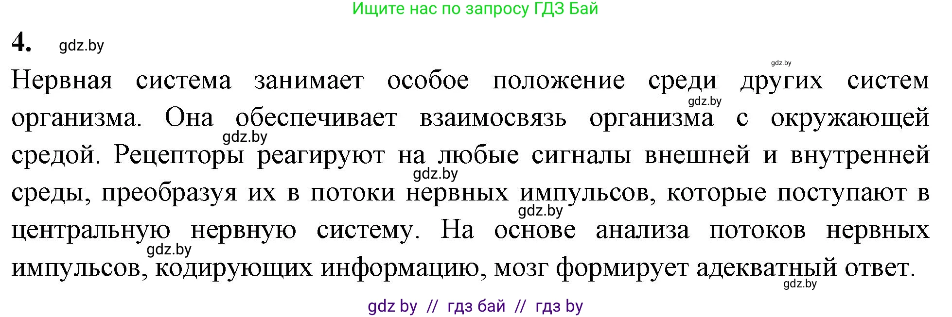 Биология, 9 класс Тетрадь для лабораторных и практических работ, авторы: Борисов Олег Леонидович, Антипенко Алеся Анатольевна, издательство Аверсэв, Минск, 2023, страница 19, номер 4, Решение