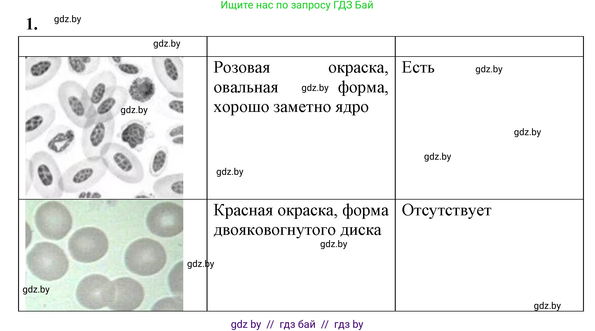 Биология, 9 класс Тетрадь для лабораторных и практических работ, авторы: Борисов Олег Леонидович, Антипенко Алеся Анатольевна, издательство Аверсэв, Минск, 2023, страница 15, номер 1, Решение