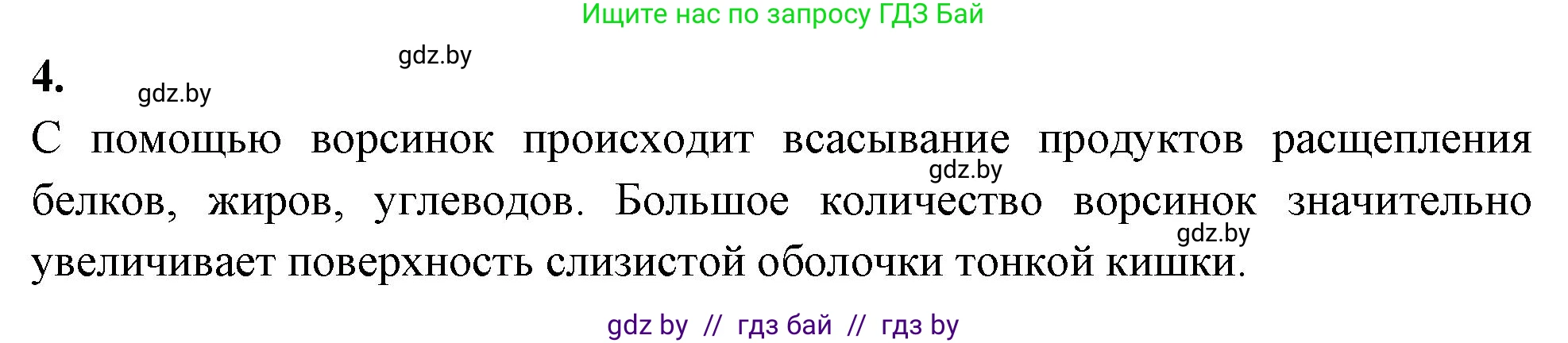 Биология, 9 класс Тетрадь для лабораторных и практических работ, авторы: Борисов Олег Леонидович, Антипенко Алеся Анатольевна, издательство Аверсэв, Минск, 2023, страница 6, номер 4, Решение