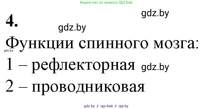 Биология, 9 класс рабочая тетрадь, авторы: Борисов Олег Леонидович, Антипенко Алеся Анатольевна, Мащенко Михаил Васильевич, издательство Аверсэв, Минск, 2019, салатового цвета, страница 19, номер 4, Решение