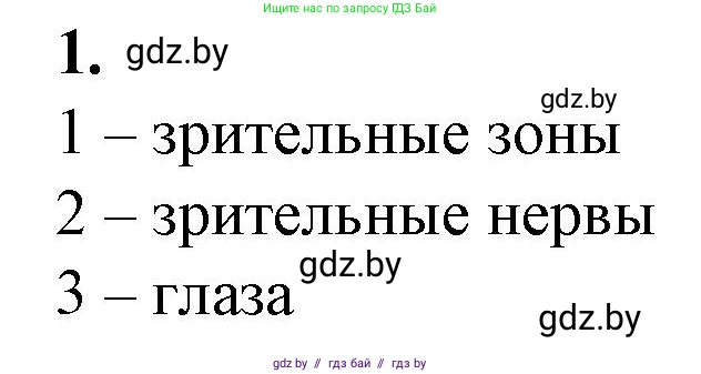 Биология, 9 класс рабочая тетрадь, авторы: Борисов Олег Леонидович, Антипенко Алеся Анатольевна, Мащенко Михаил Васильевич, издательство Аверсэв, Минск, 2019, салатового цвета, страница 25, номер 1, Решение