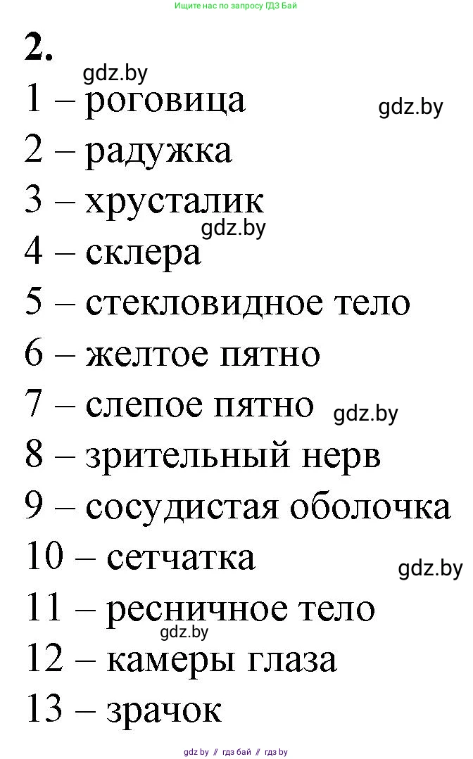 Биология, 9 класс рабочая тетрадь, авторы: Борисов Олег Леонидович, Антипенко Алеся Анатольевна, Мащенко Михаил Васильевич, издательство Аверсэв, Минск, 2019, салатового цвета, страница 25, номер 2, Решение