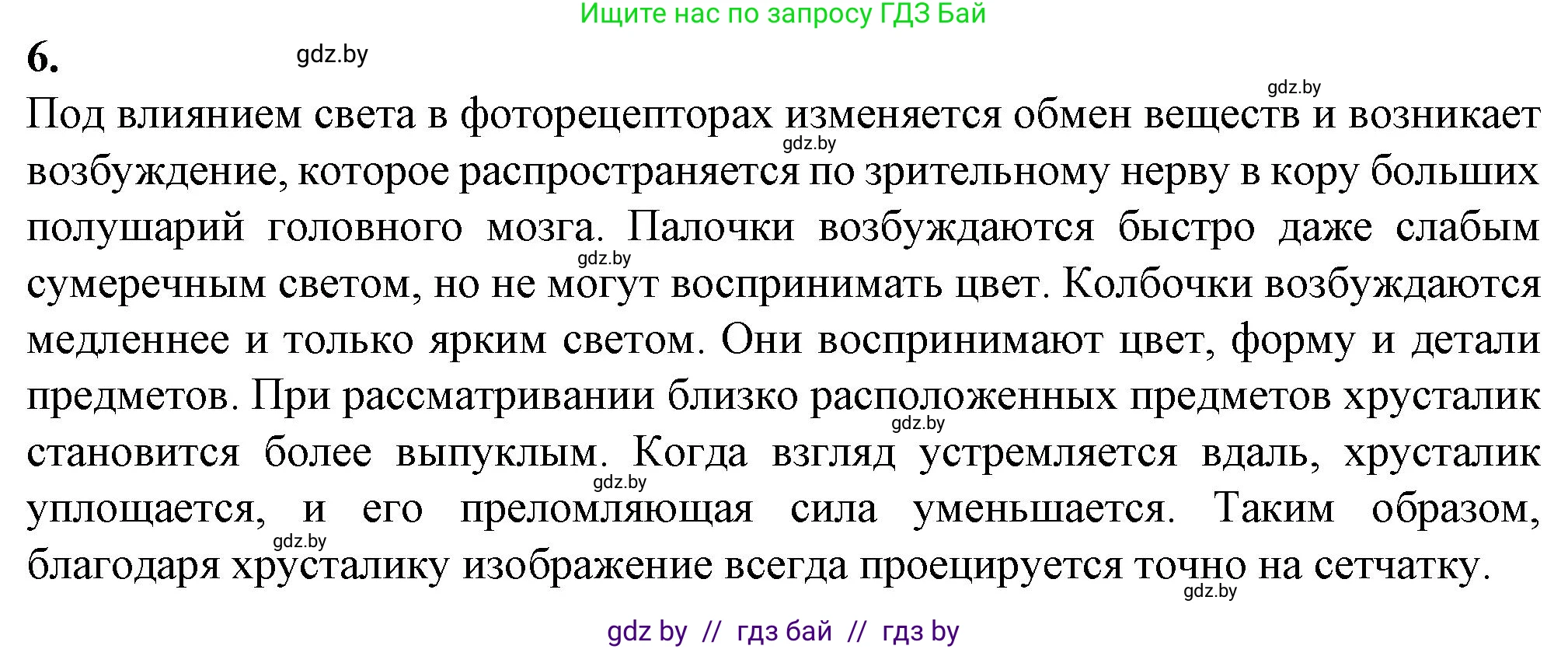 Биология, 9 класс рабочая тетрадь, авторы: Борисов Олег Леонидович, Антипенко Алеся Анатольевна, Мащенко Михаил Васильевич, издательство Аверсэв, Минск, 2019, салатового цвета, страница 28, номер 6, Решение