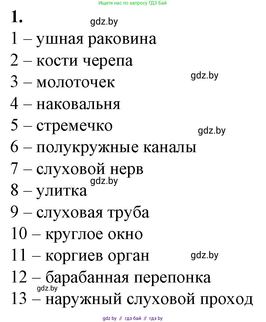 Биология, 9 класс рабочая тетрадь, авторы: Борисов Олег Леонидович, Антипенко Алеся Анатольевна, Мащенко Михаил Васильевич, издательство Аверсэв, Минск, 2019, салатового цвета, страница 30, номер 1, Решение