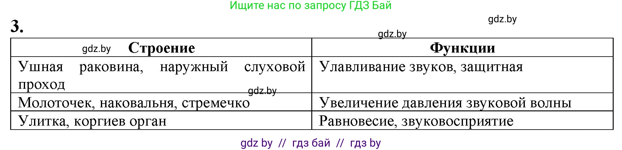 Биология, 9 класс рабочая тетрадь, авторы: Борисов Олег Леонидович, Антипенко Алеся Анатольевна, Мащенко Михаил Васильевич, издательство Аверсэв, Минск, 2019, салатового цвета, страница 31, номер 3, Решение