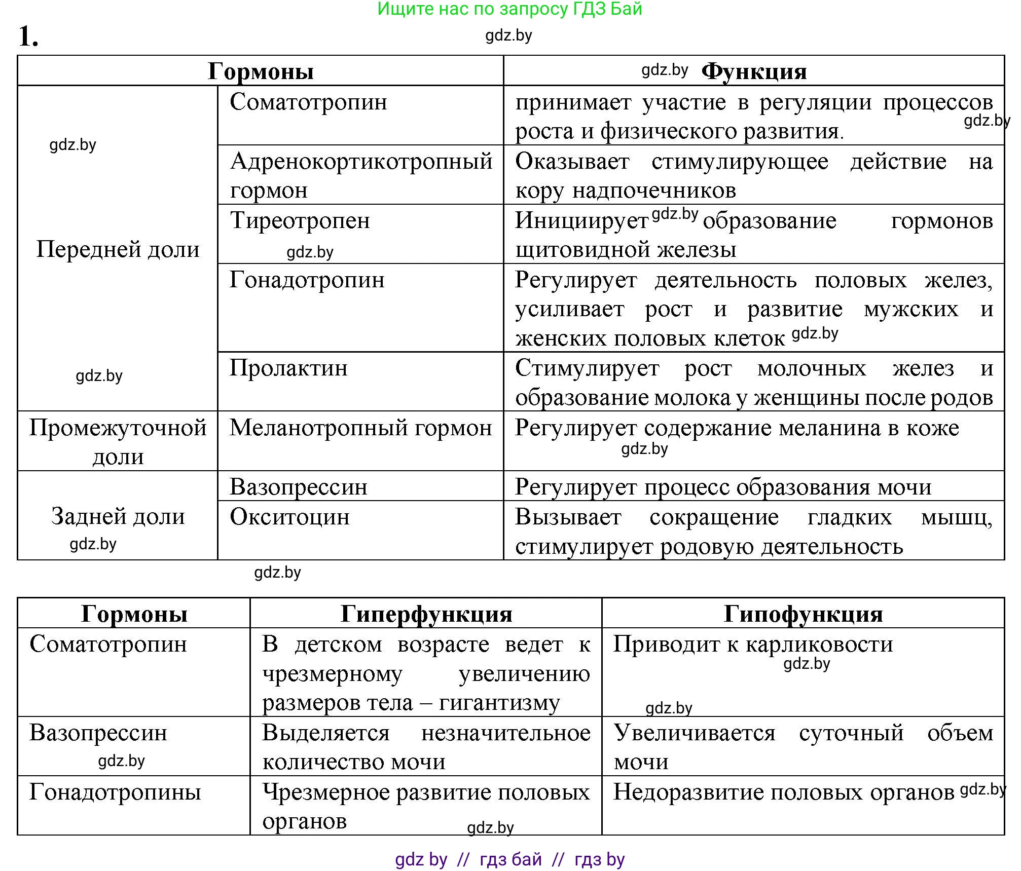 Биология, 9 класс рабочая тетрадь, авторы: Борисов Олег Леонидович, Антипенко Алеся Анатольевна, Мащенко Михаил Васильевич, издательство Аверсэв, Минск, 2019, салатового цвета, страница 36, Решение